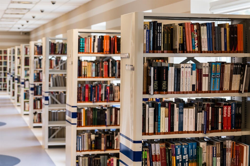 Row of Books in Shelf